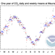 CO2 concentrations at Mauna Loa over the past year. Image Credit: NOAA